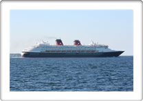 DISNEY MAGIC         9126807  